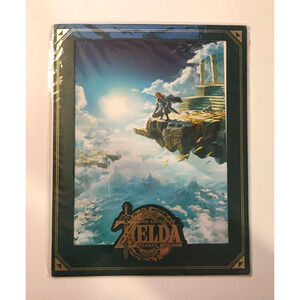 The Legend of Zelda Tears of the Kingdom Art Print Best Buy Exclusive US Seller